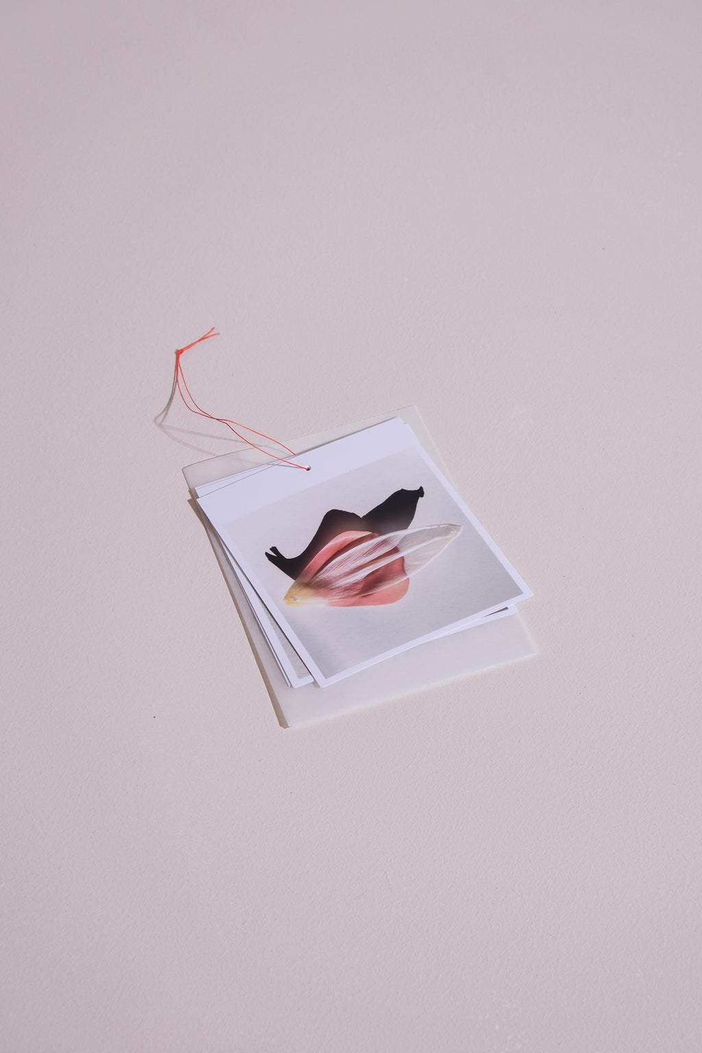 Shape Studies photo pack
