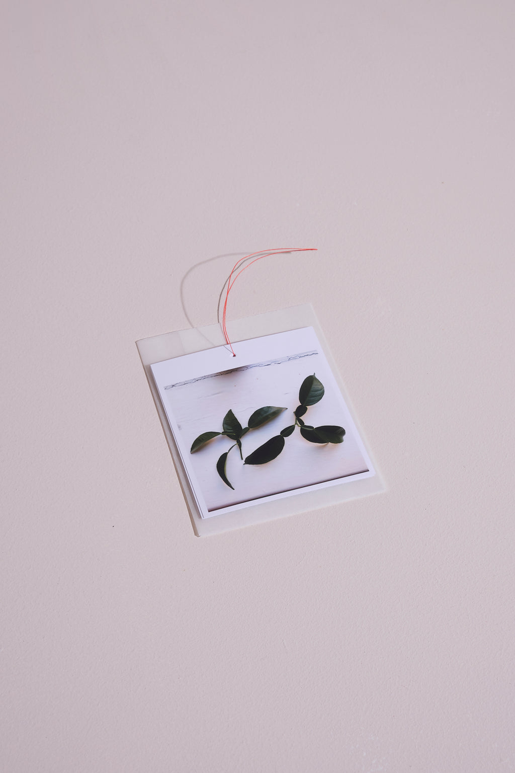 Shape Studies photo pack