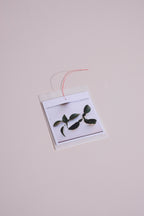 Shape Studies photo pack