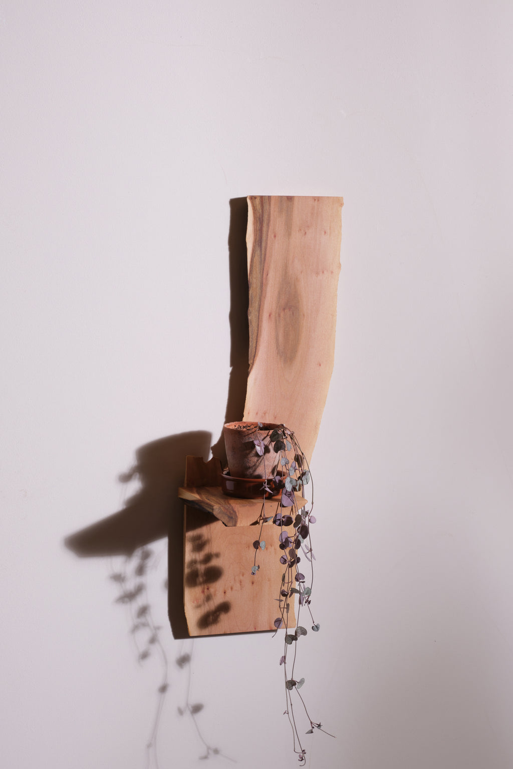 Tengu wall shelf 11