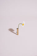 Pipe Dream brooch